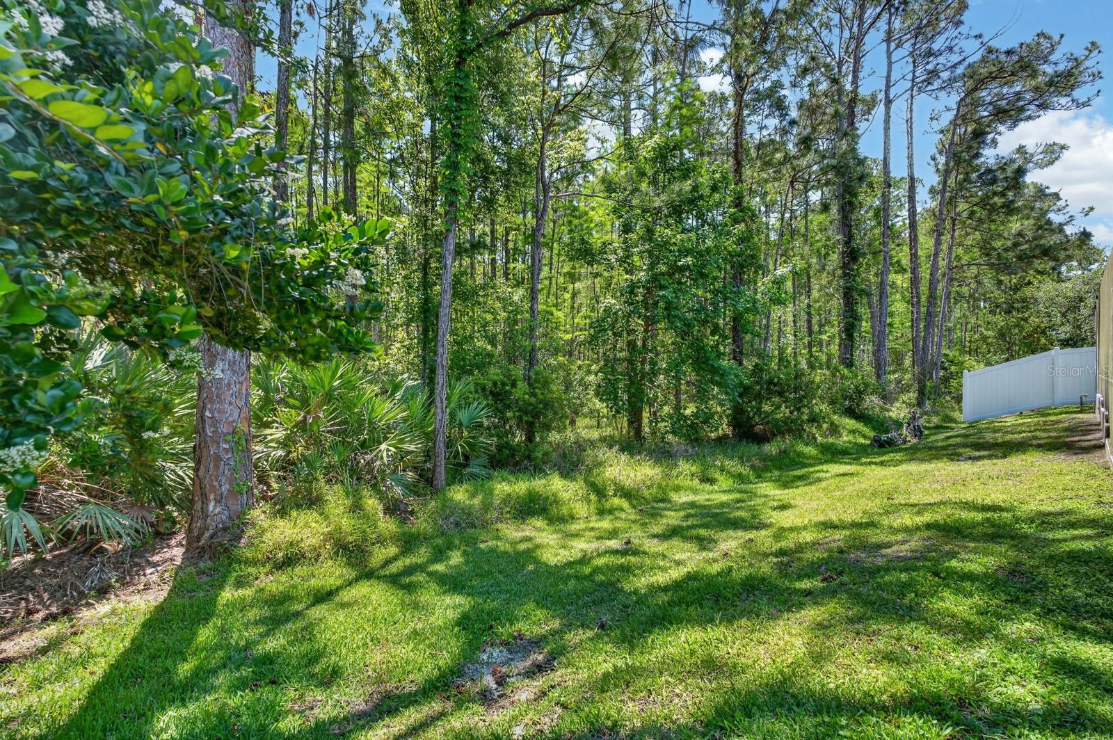 Image 29 of 46 For 5458 Saint Regis Way