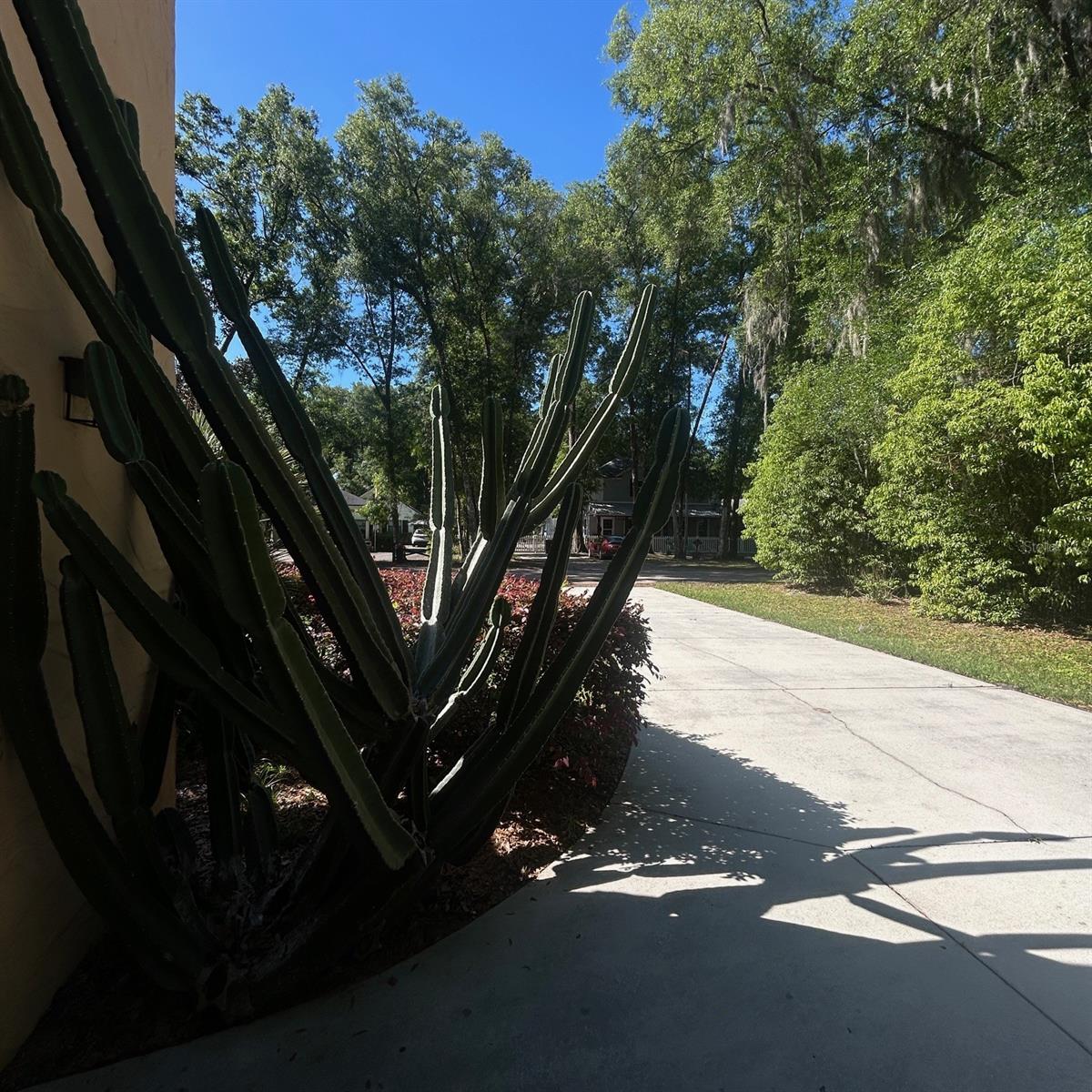 Image 14 of 49 For 250 Garden Street