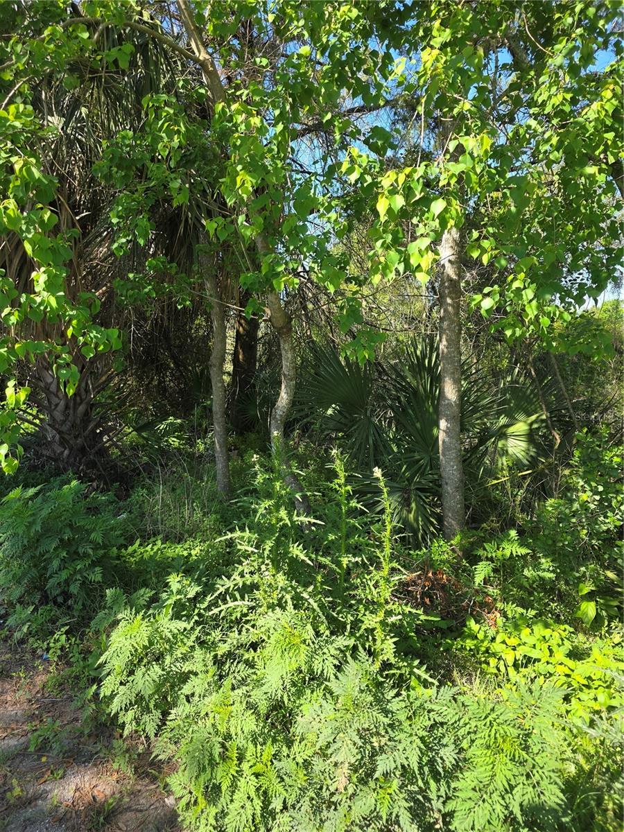 Details for 226 Walnut Avenue, ORANGE CITY, FL 32763