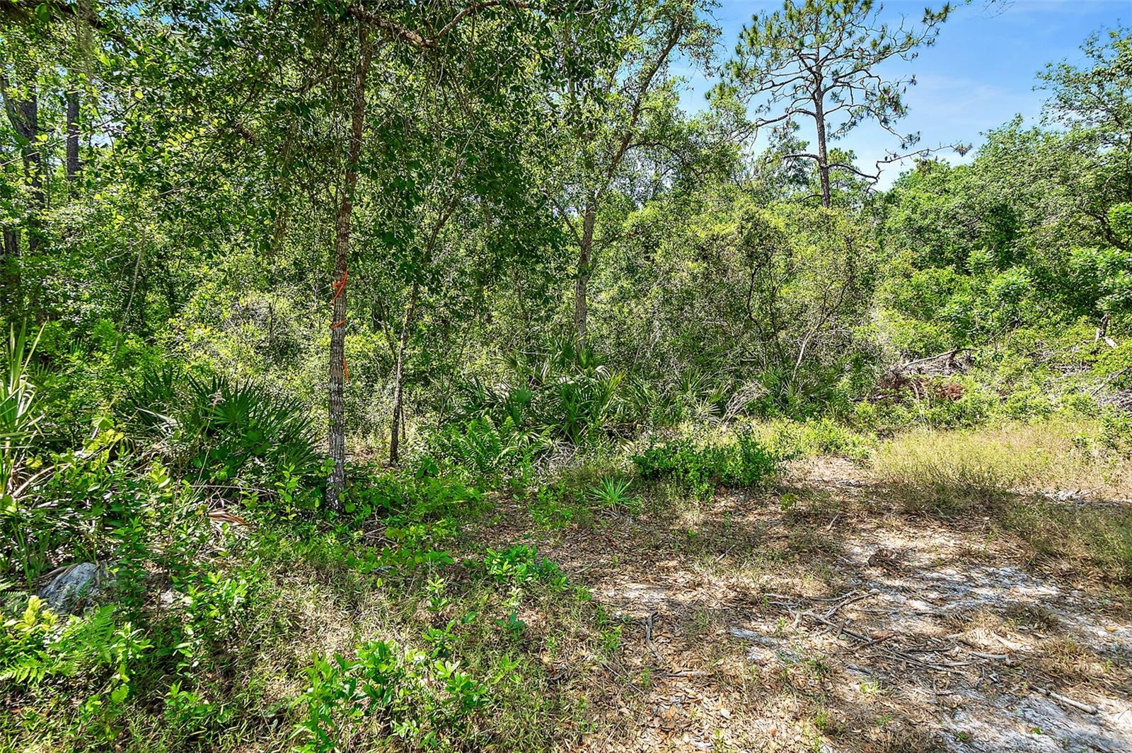 Image 45 of 57 For 1370 Buckles Road