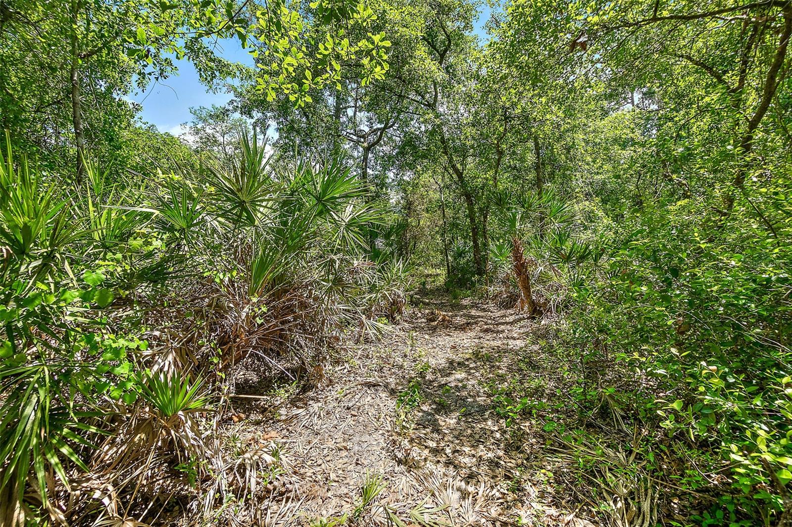 Image 46 of 57 For 1370 Buckles Road