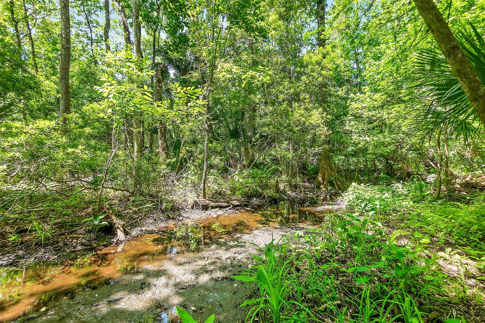 Image 47 of 57 For 1370 Buckles Road