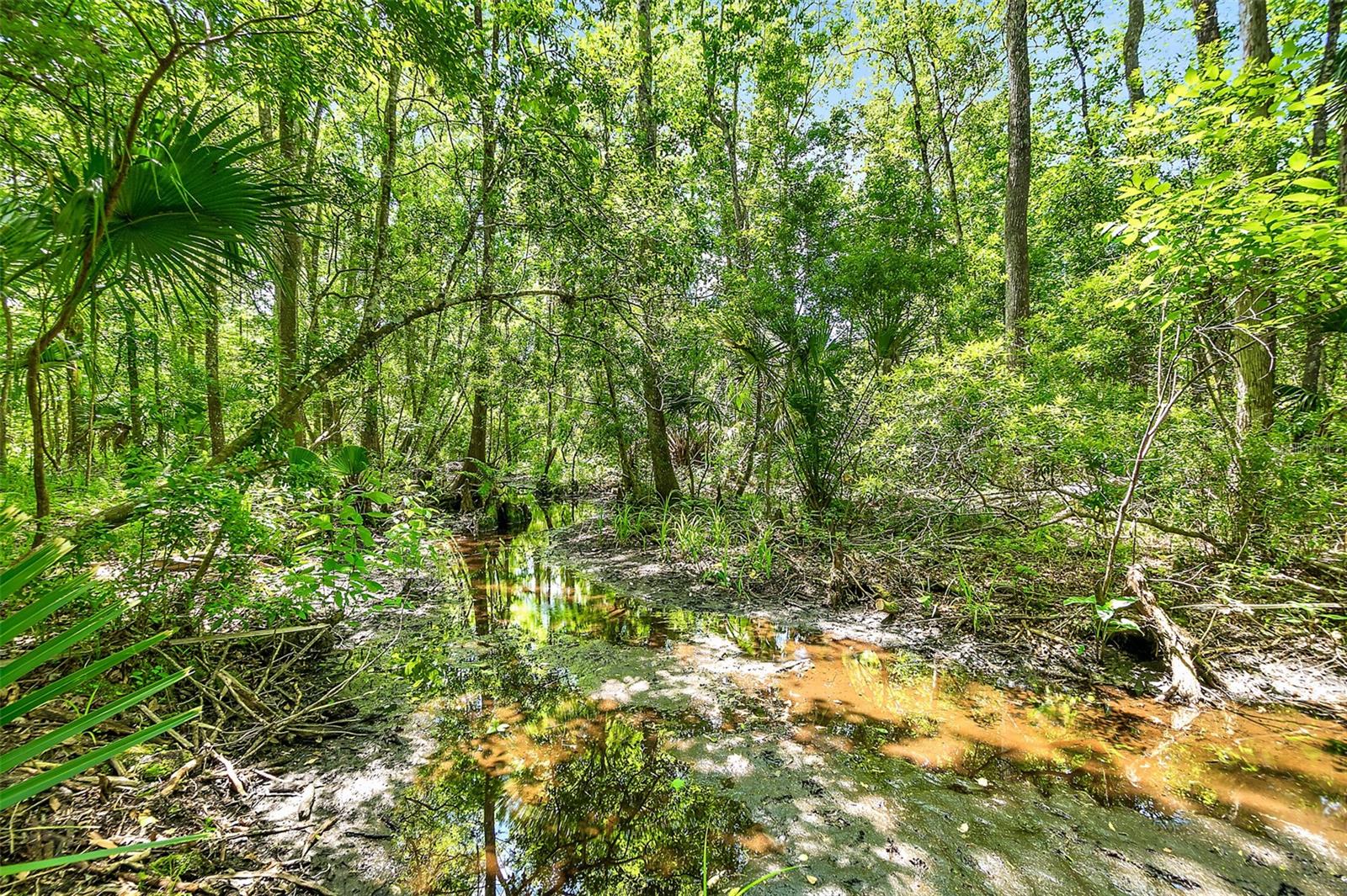 Image 48 of 57 For 1370 Buckles Road