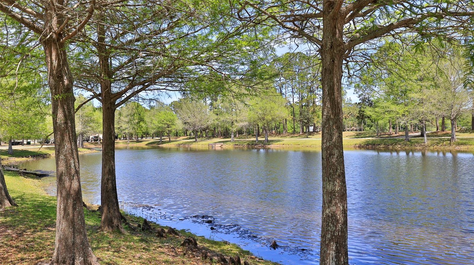 Image 51 of 52 For 6171 Sabal Point Circle