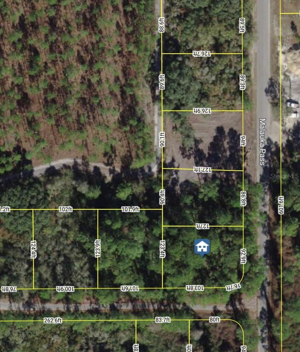 Details for Xxx Malauka Pass Pass, OCKLAWAHA, FL 32179