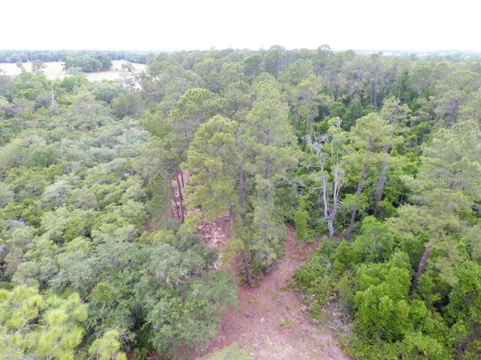 Details for 161 Snake Hill Road, CRESCENT CITY, FL 32112