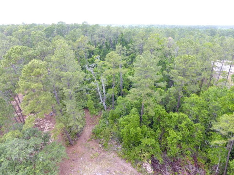 Image 2 of 8 For 161 Snake Hill Road