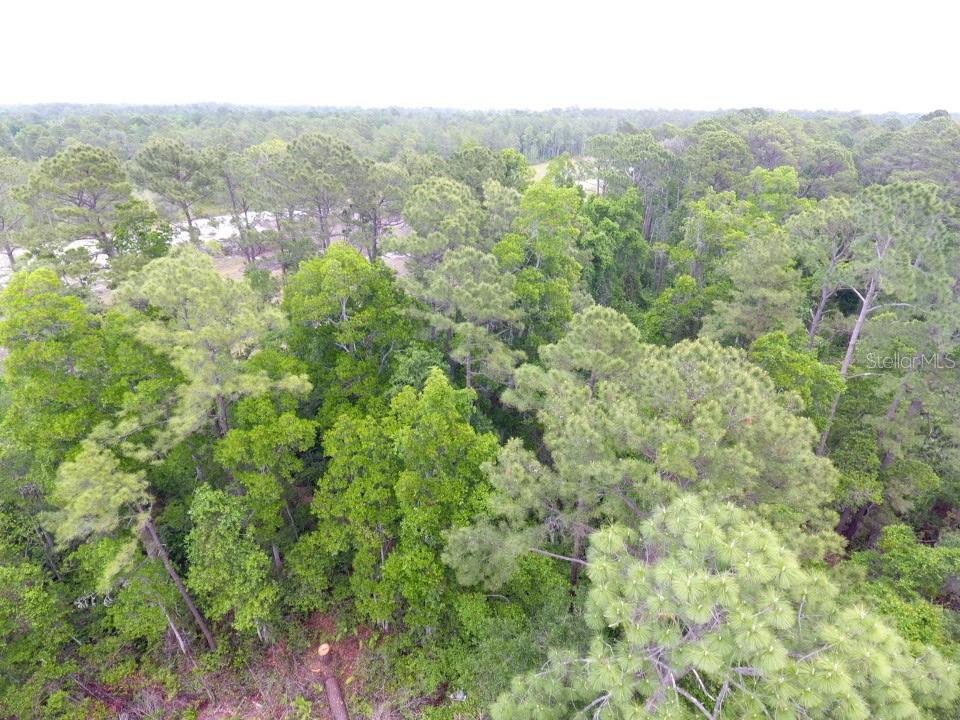 Image 4 of 8 For 161 Snake Hill Road