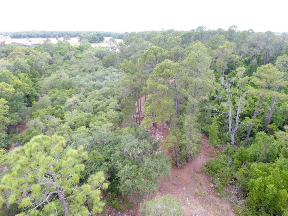 Details for 155 Snake Hill Road, POMONA PARK, FL 32181