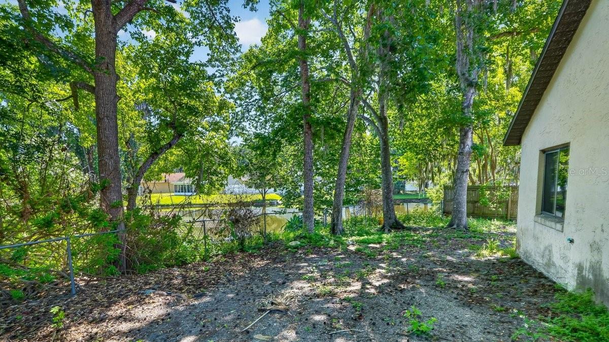 Image 13 of 41 For 1116 Meditation Loop