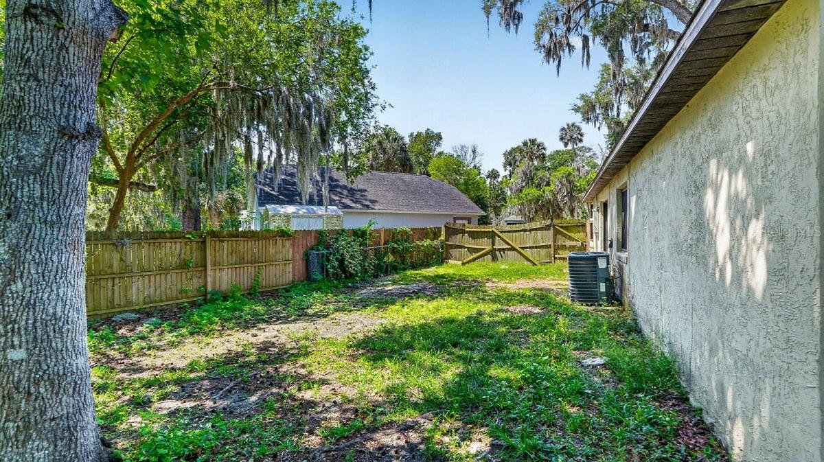 Image 14 of 41 For 1116 Meditation Loop