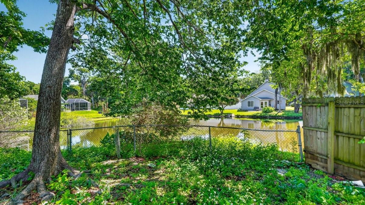 Image 16 of 41 For 1116 Meditation Loop