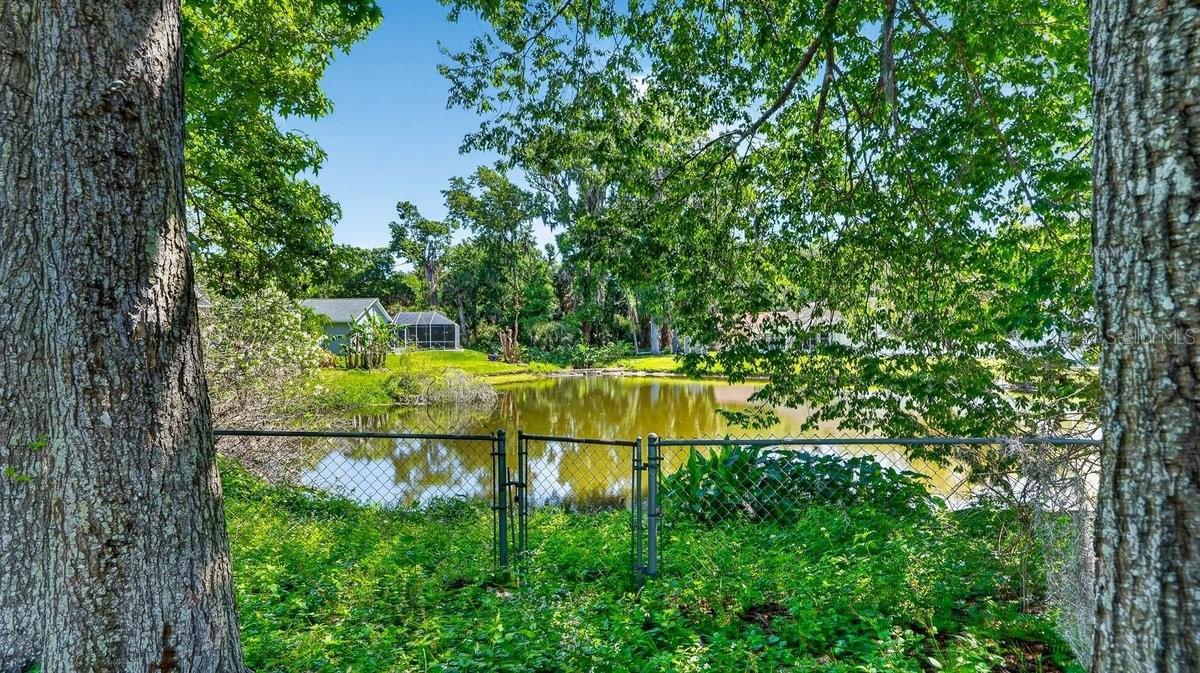 Image 17 of 41 For 1116 Meditation Loop