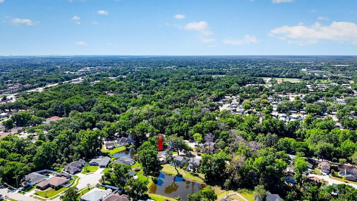 Image 37 of 41 For 1116 Meditation Loop