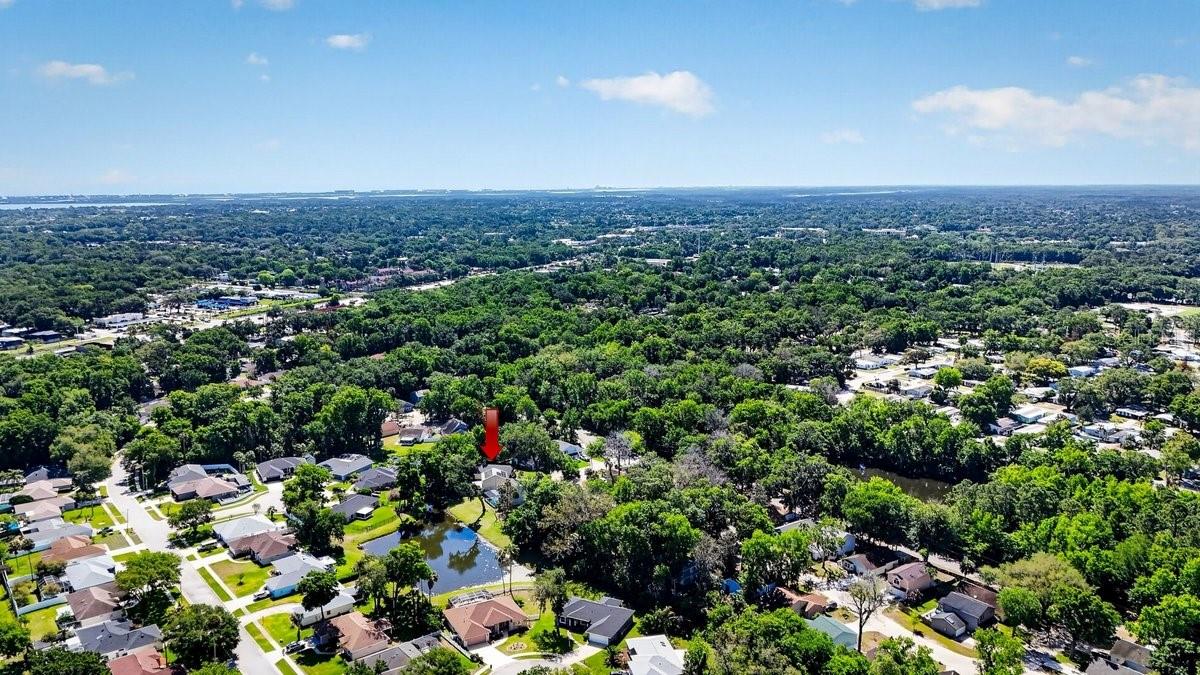 Image 38 of 41 For 1116 Meditation Loop