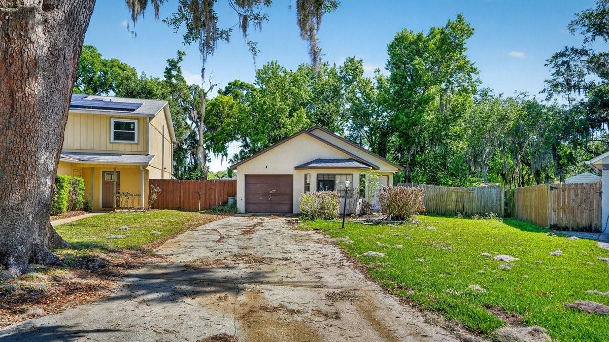 Image 7 of 41 For 1116 Meditation Loop