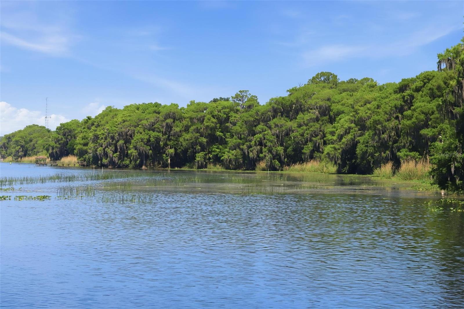 Image 38 of 38 For 120 Hibiscus Woods Court 6c