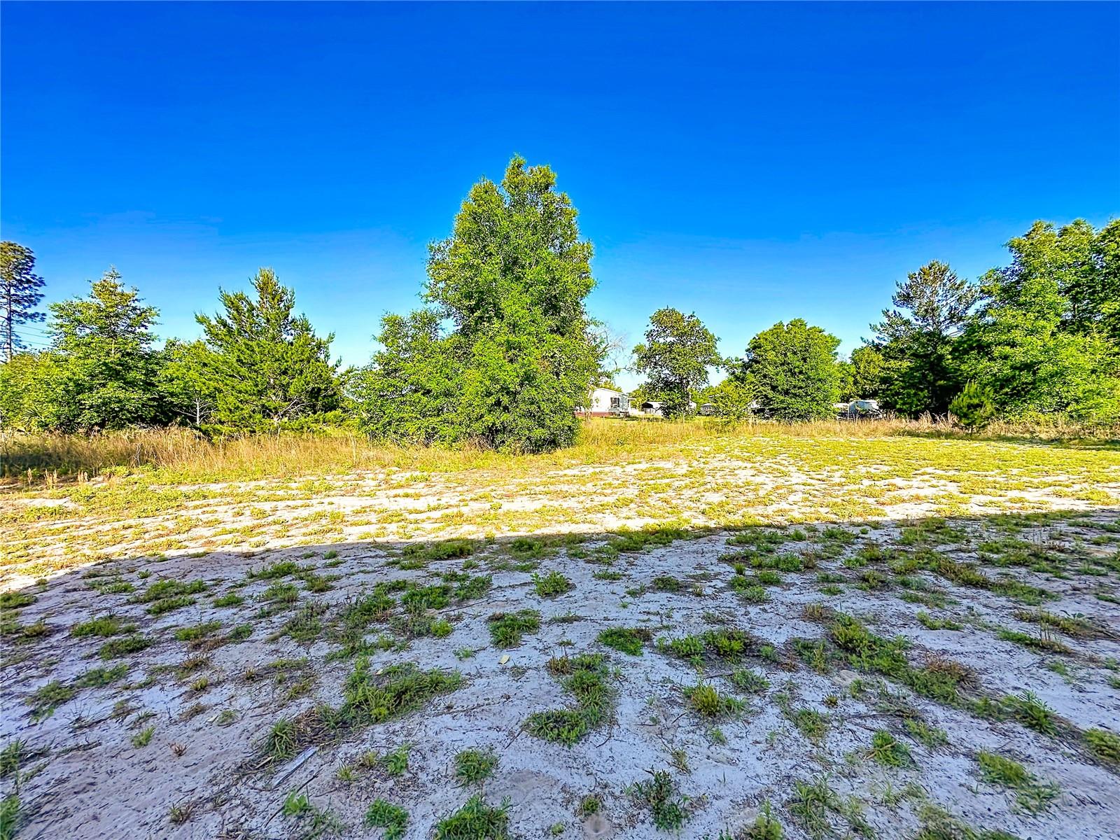 Image 36 of 36 For 101 Orange Tree Street