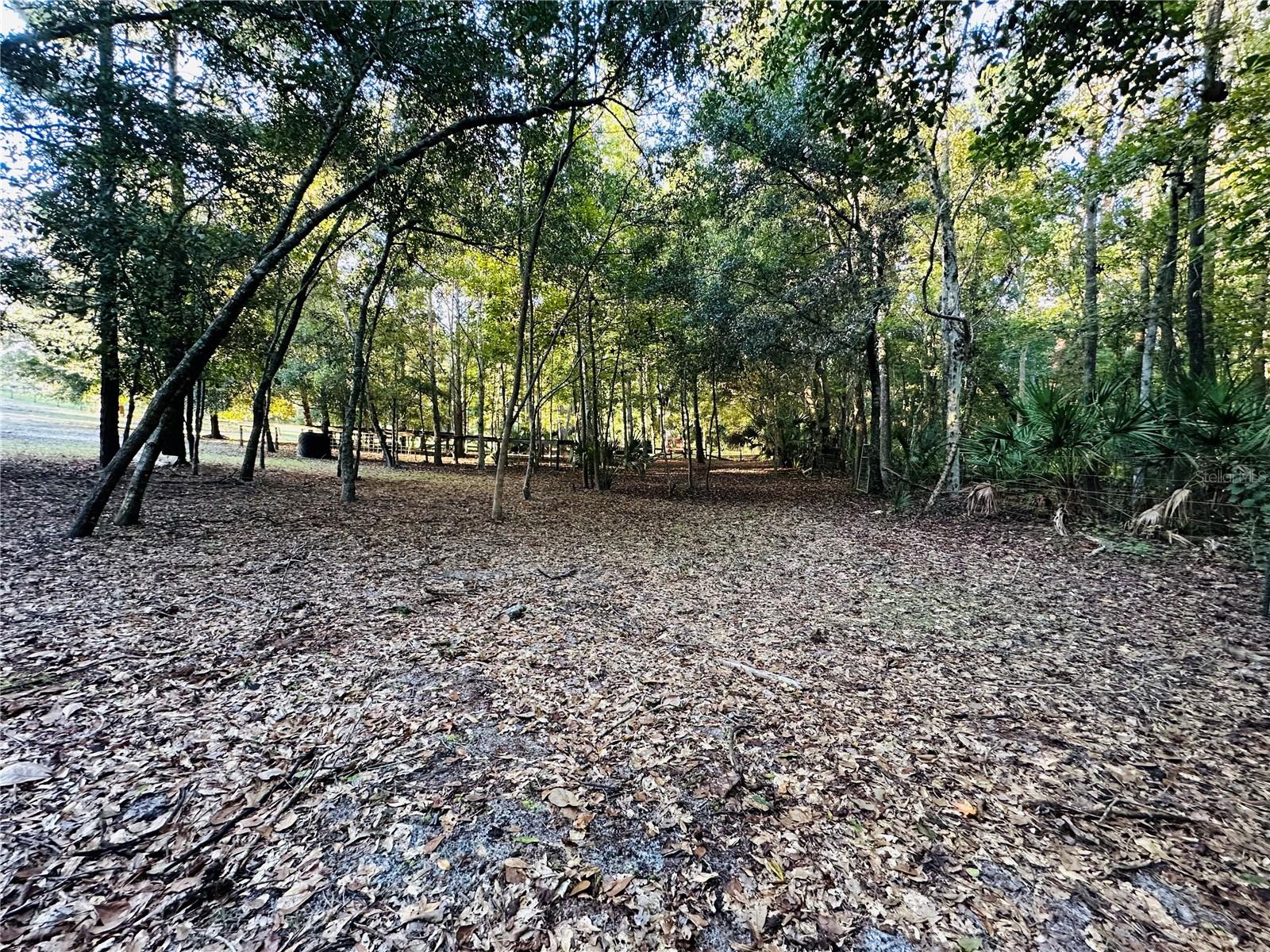Image 45 of 65 For 1889 Ranchland Trail