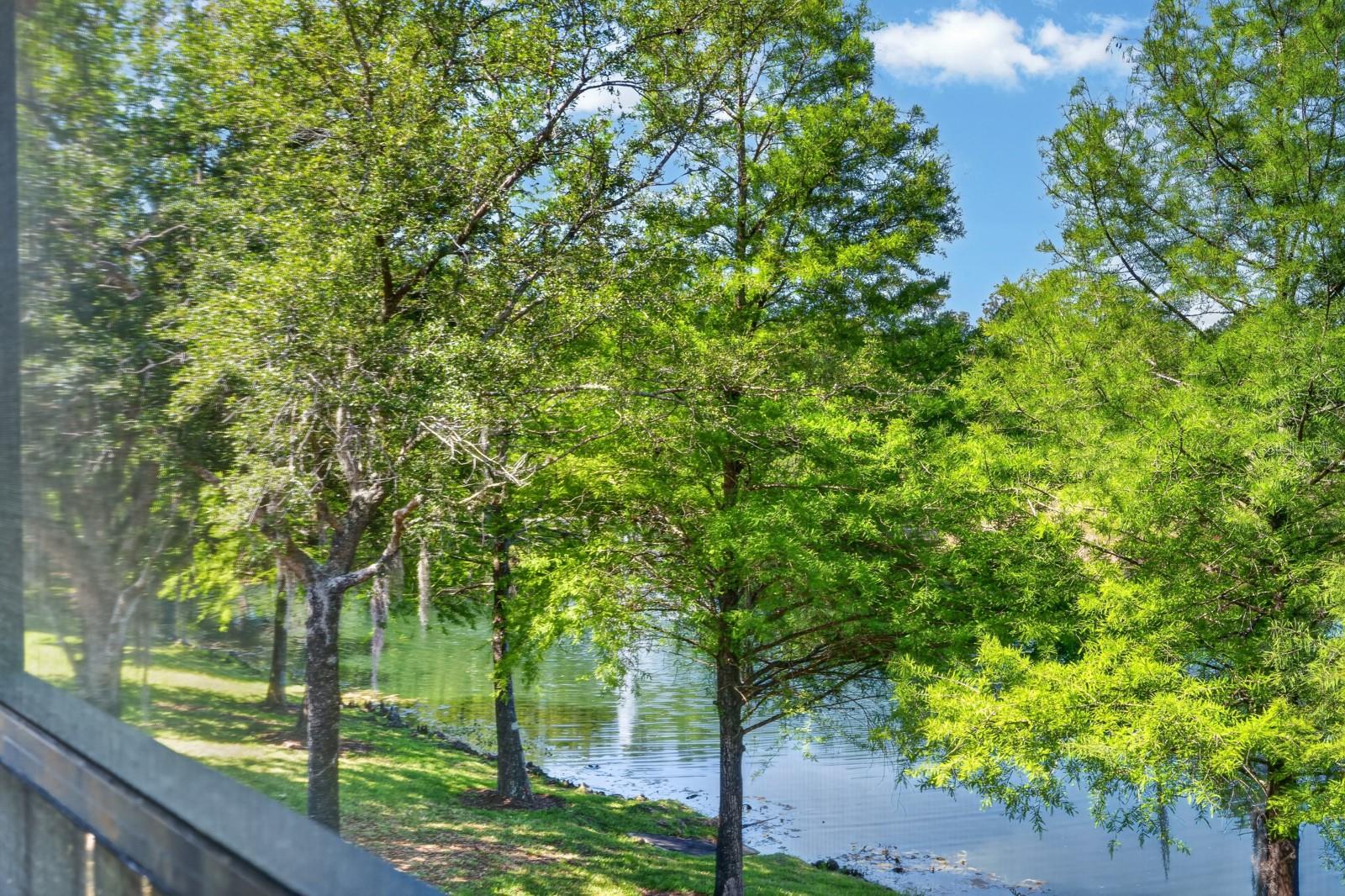 Image 31 of 86 For 715 Cobblestone Drive