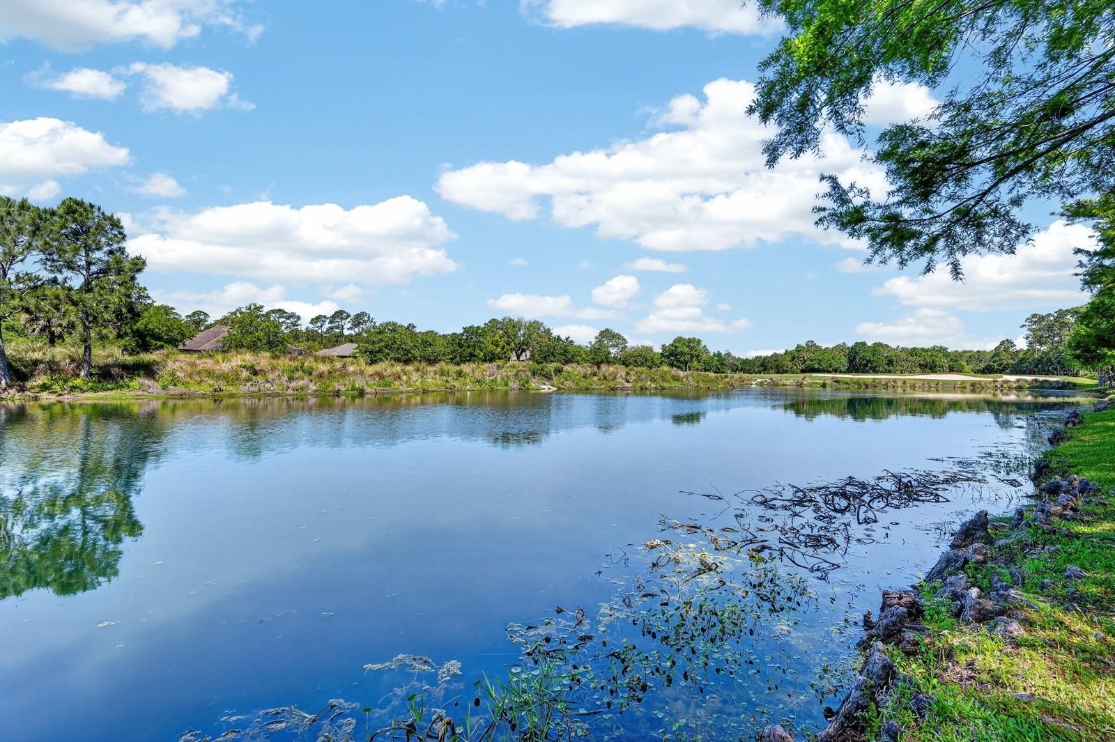 Image 39 of 86 For 715 Cobblestone Drive