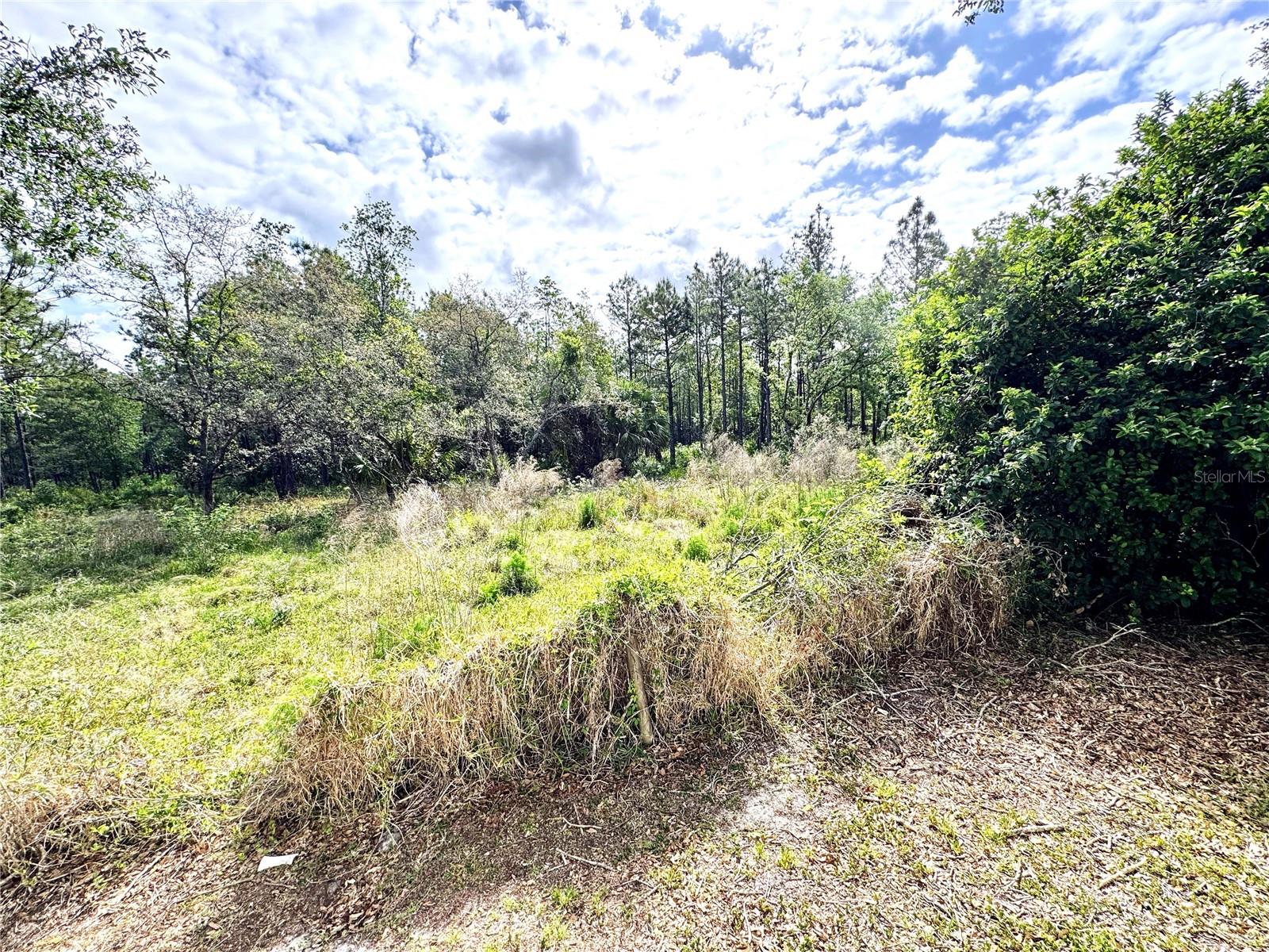 Image 54 of 64 For 4339 Northern Dancer Way