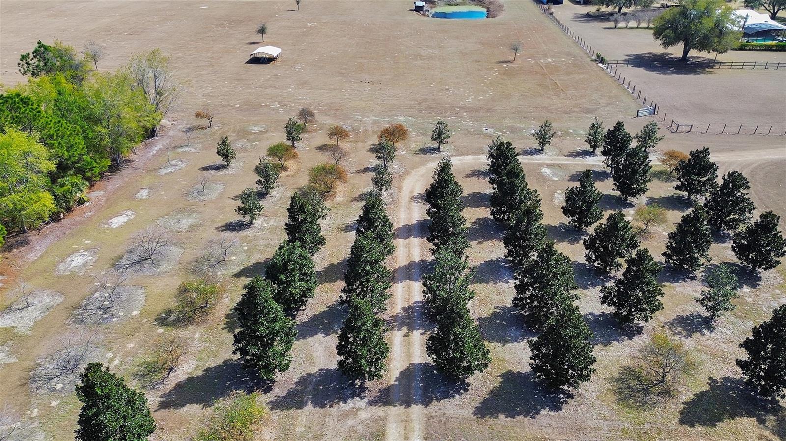 Image 16 of 85 For 1403 Blackwelder Road