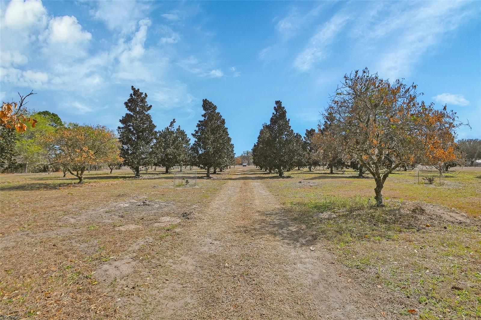 Image 43 of 85 For 1403 Blackwelder Road