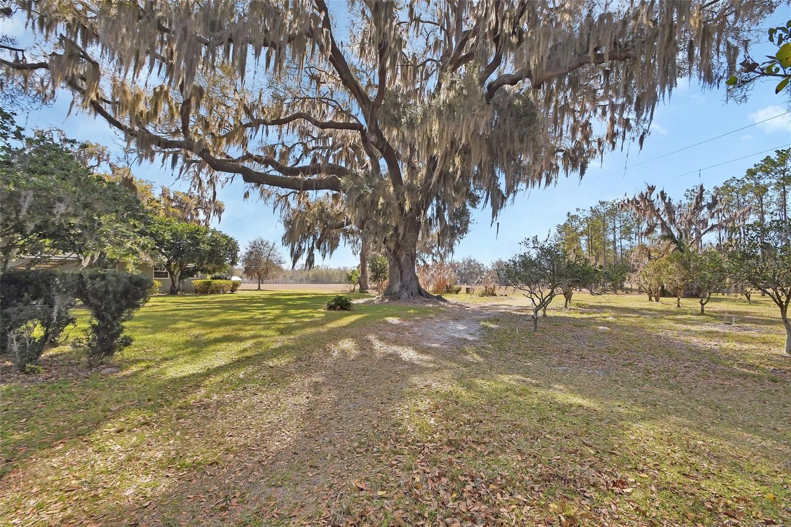 Image 5 of 85 For 1403 Blackwelder Road