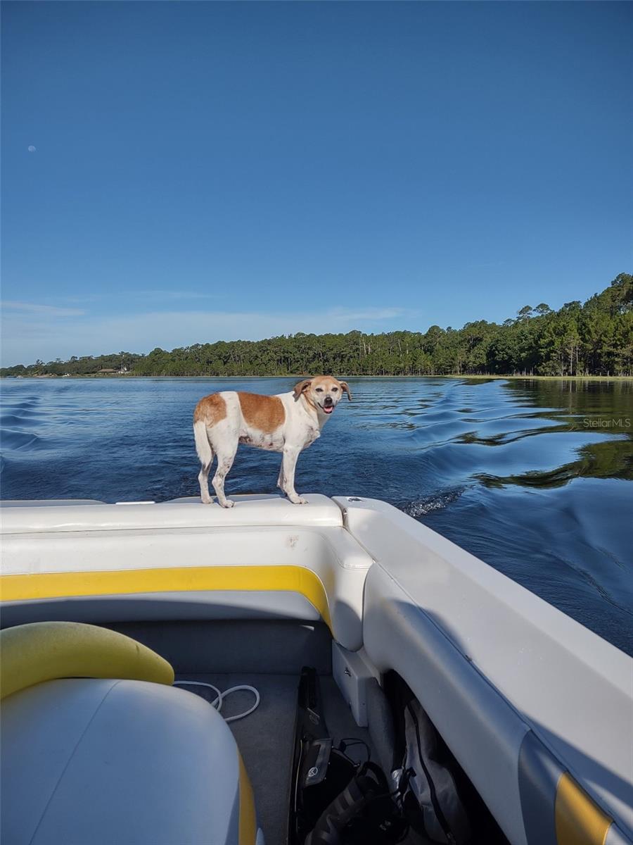 Image 78 of 85 For 1403 Blackwelder Road