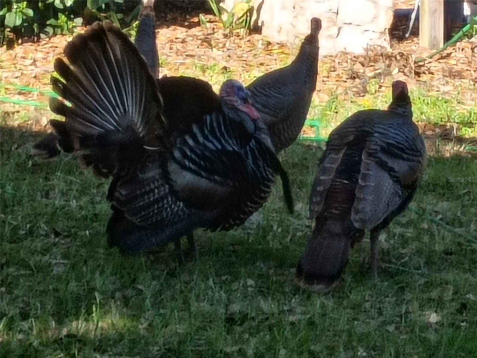 Image 80 of 85 For 1403 Blackwelder Road