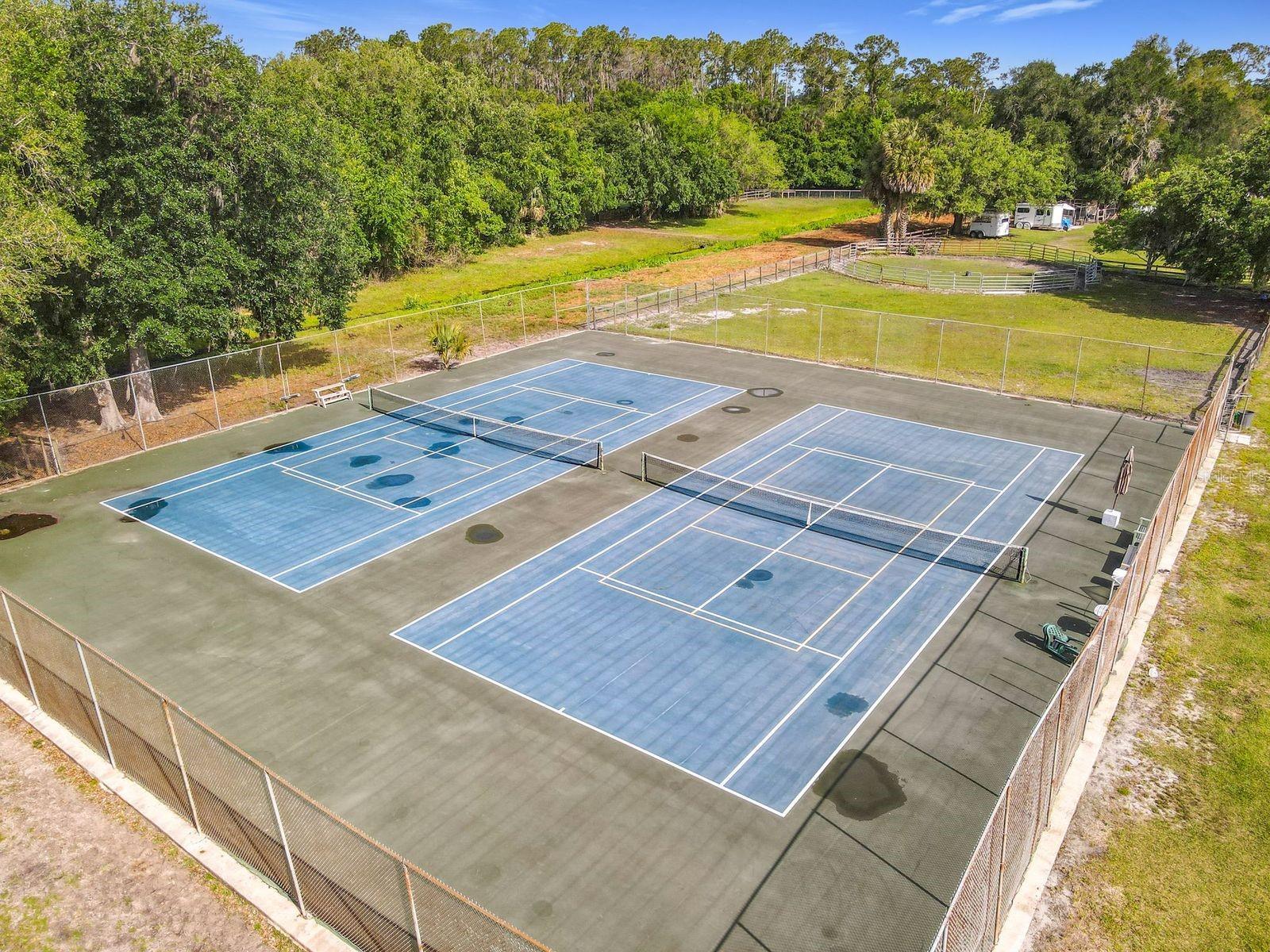 Image 58 of 62 For 460 Warrior Trail