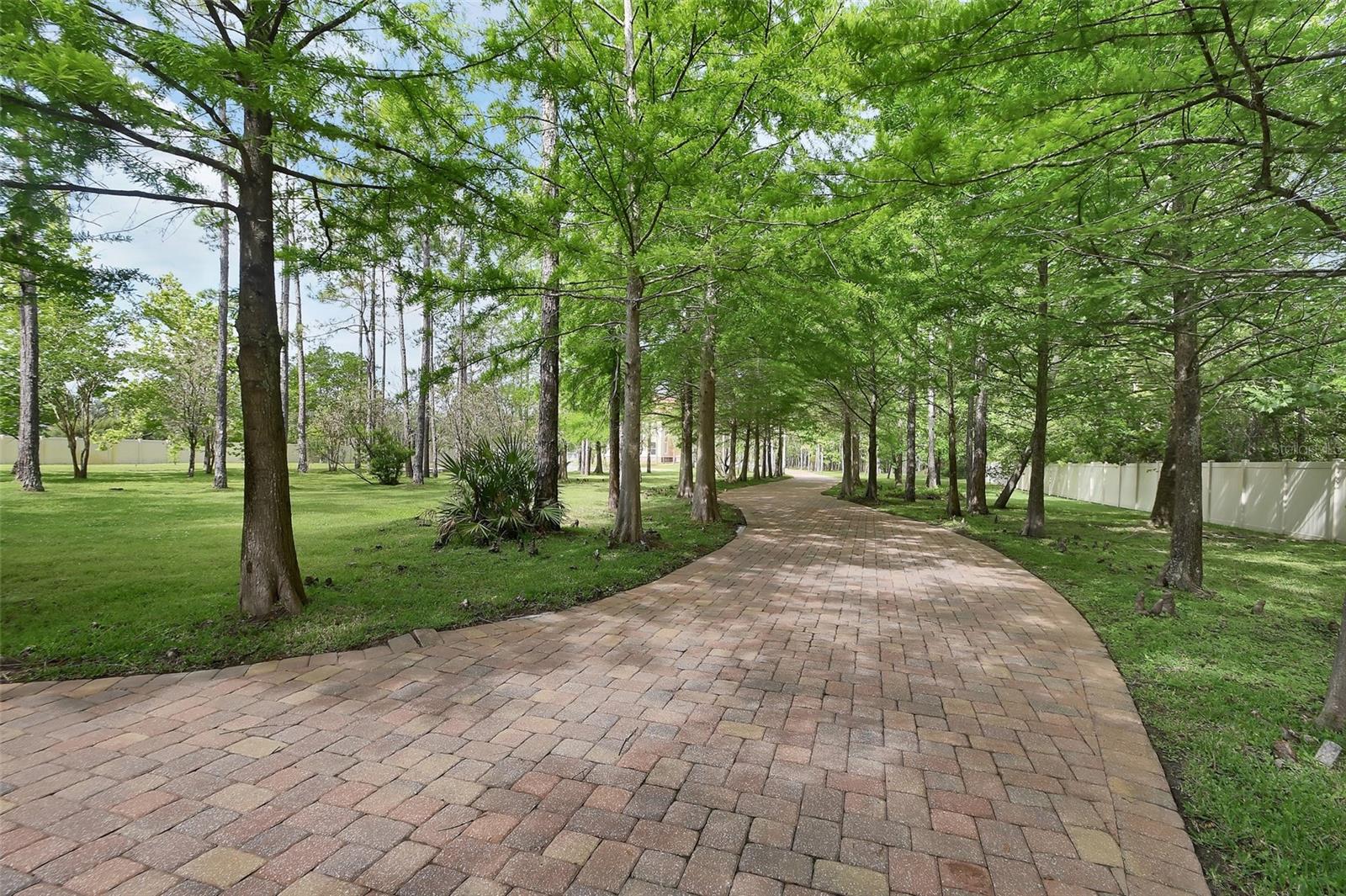 Image 3 of 72 For 443 Juniper Lane