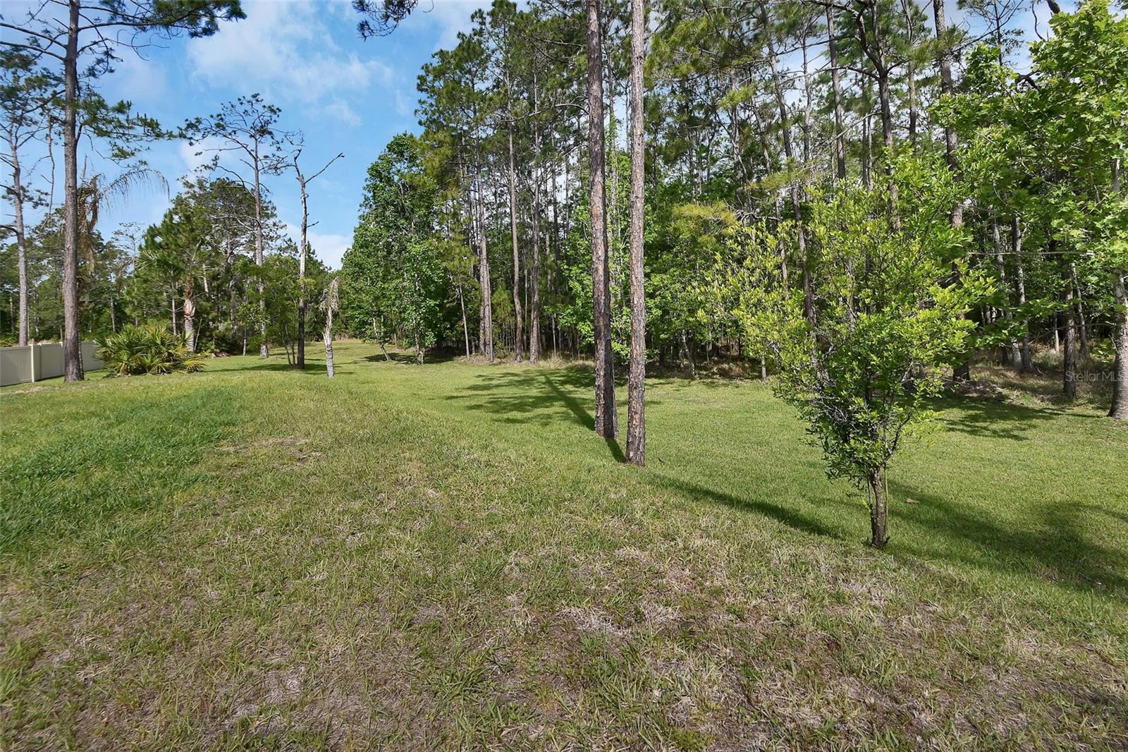Image 56 of 72 For 443 Juniper Lane