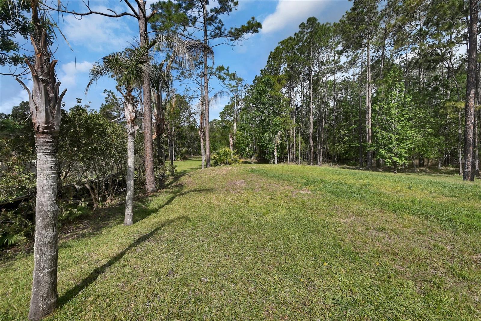 Image 57 of 72 For 443 Juniper Lane