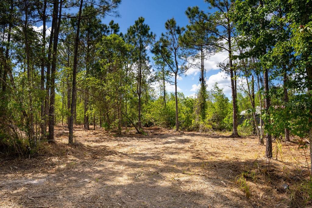 Image 3 of 10 For 3770 Balsam Court