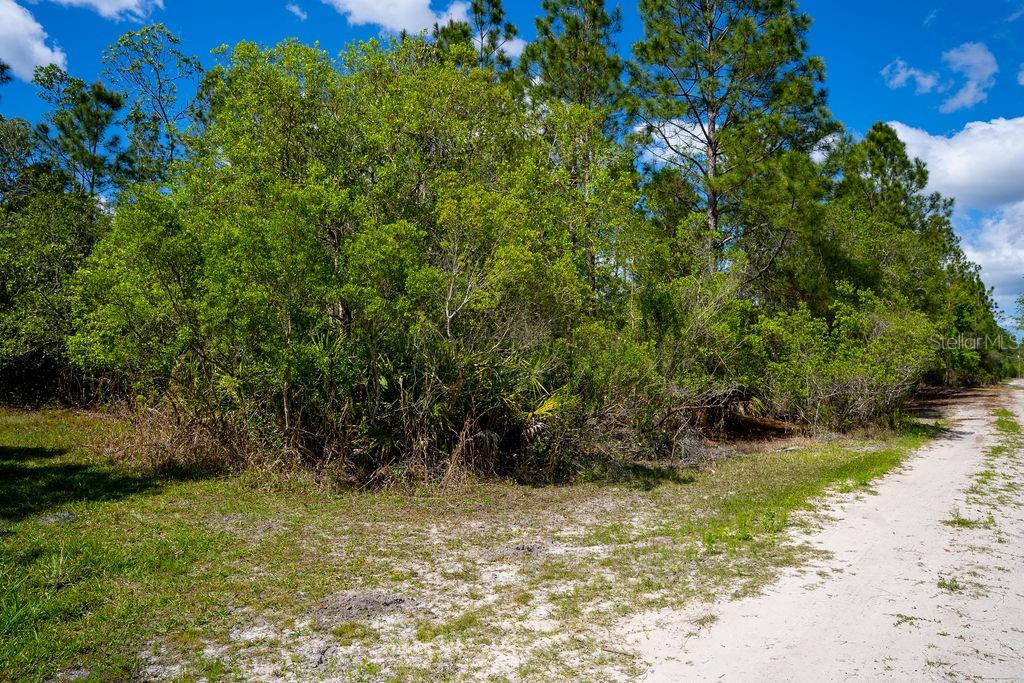 Image 4 of 10 For 3770 Balsam Court