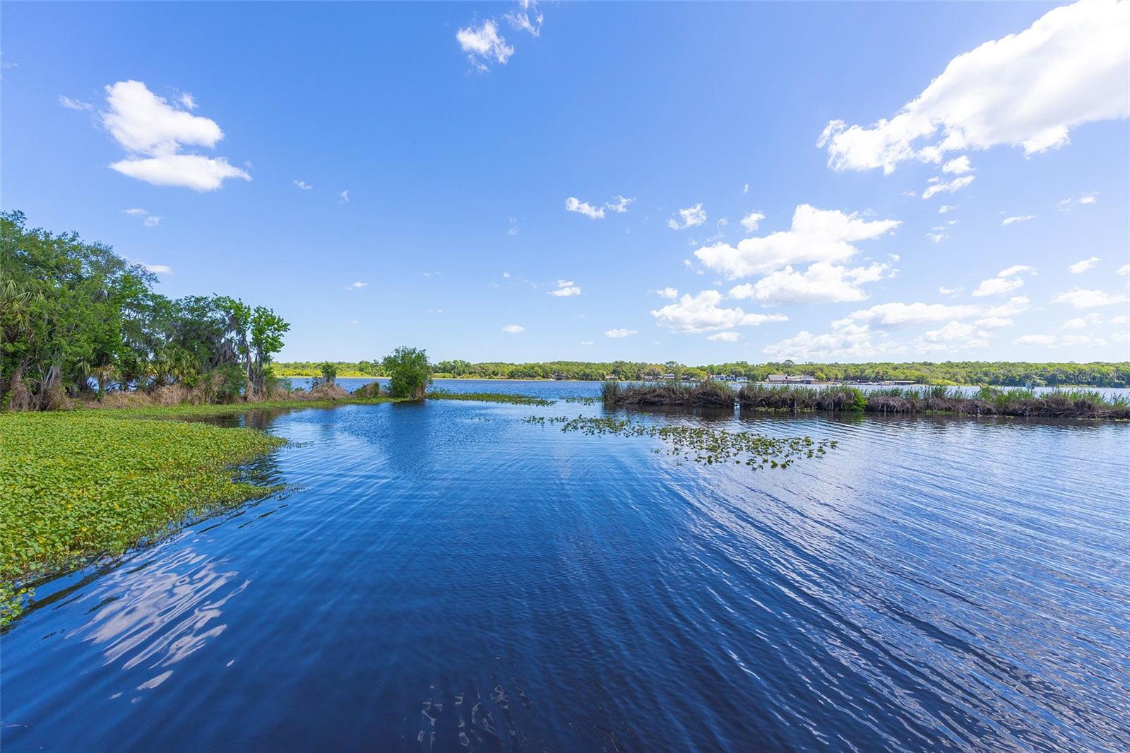 Image 59 of 60 For 1734 Santiago Street