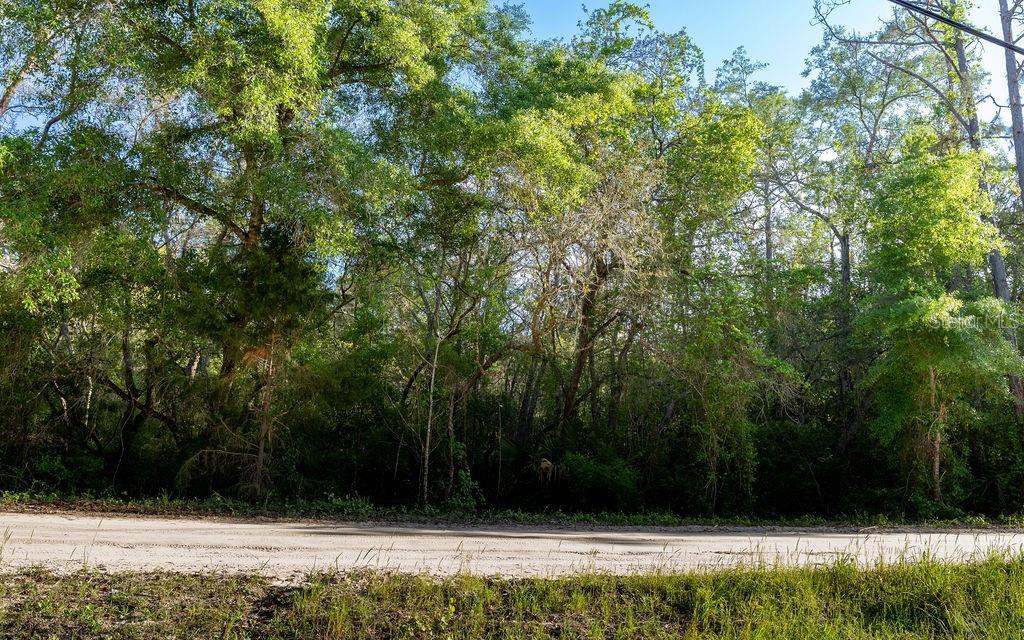 Image 3 of 17 For Lake Maregaret Boulevard