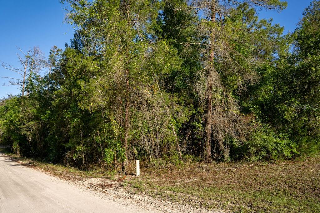 Image 5 of 17 For Lake Maregaret Boulevard