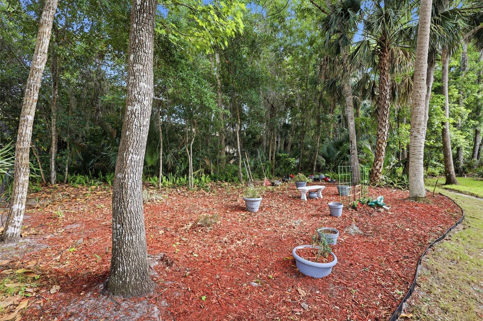 Image 36 of 43 For 140 Orchid Woods Court 13b