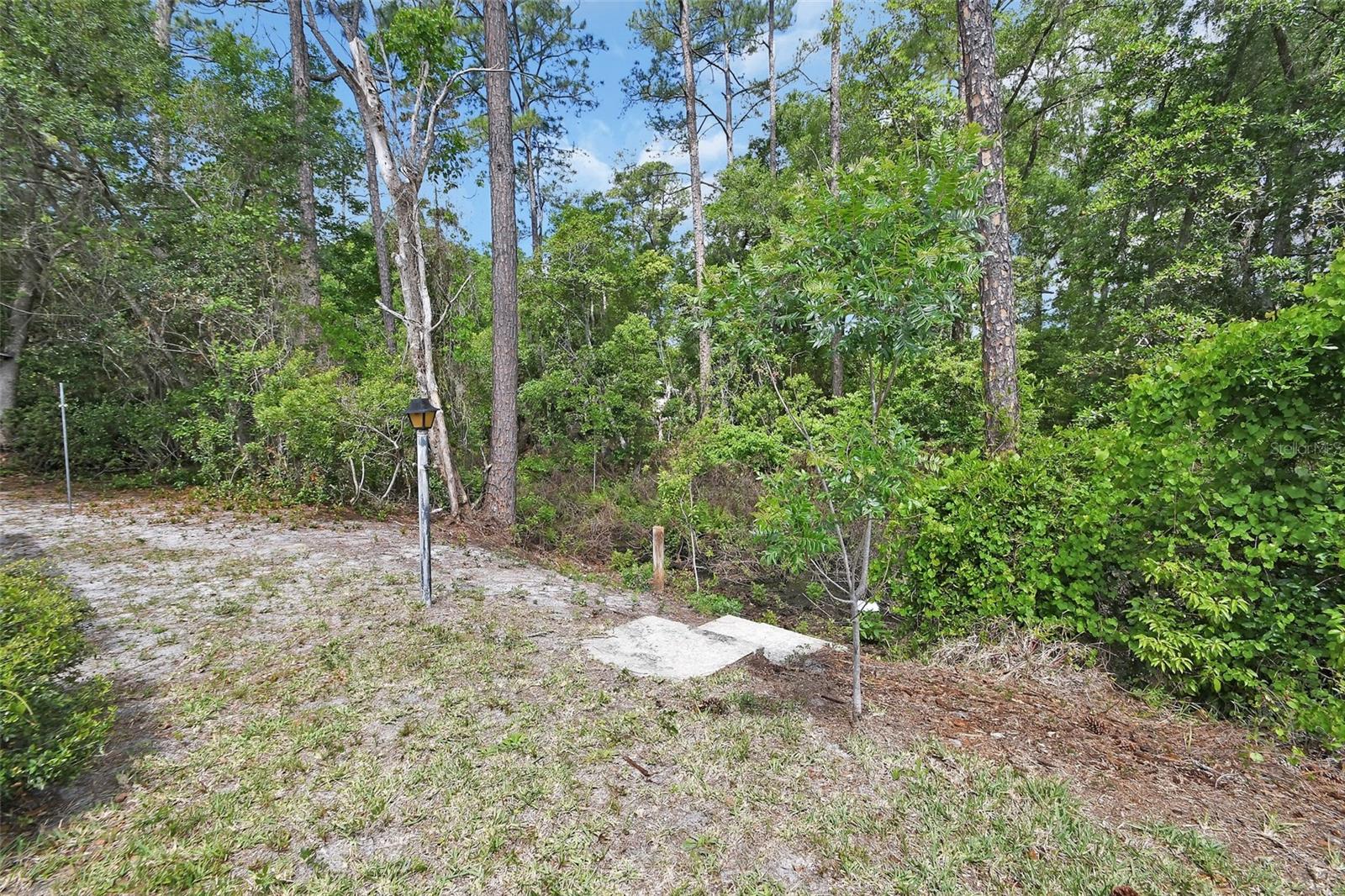 Image 23 of 42 For 25801 Blue Lakes Drive