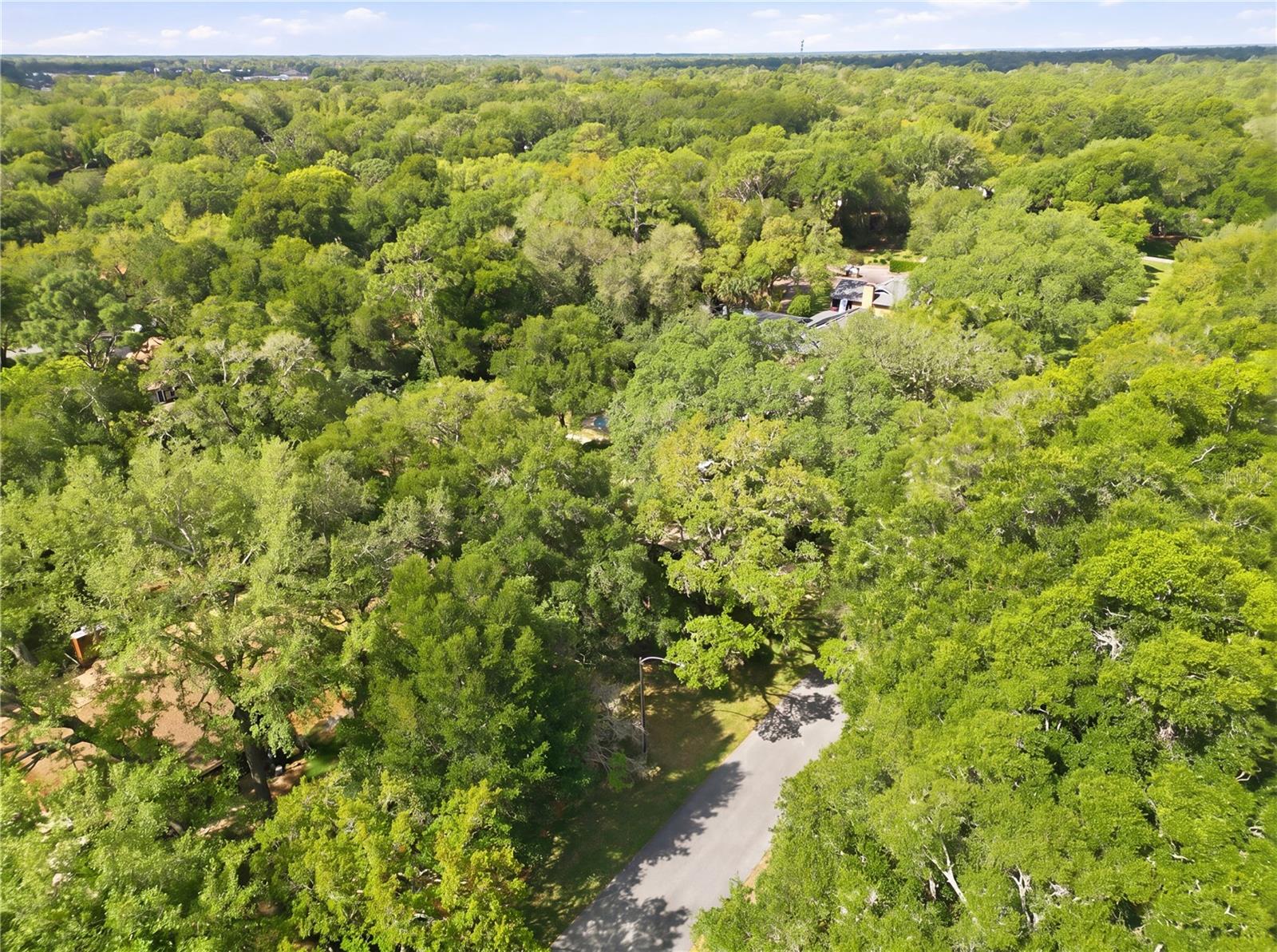 Image 34 of 35 For 544 Black Ironwood Drive