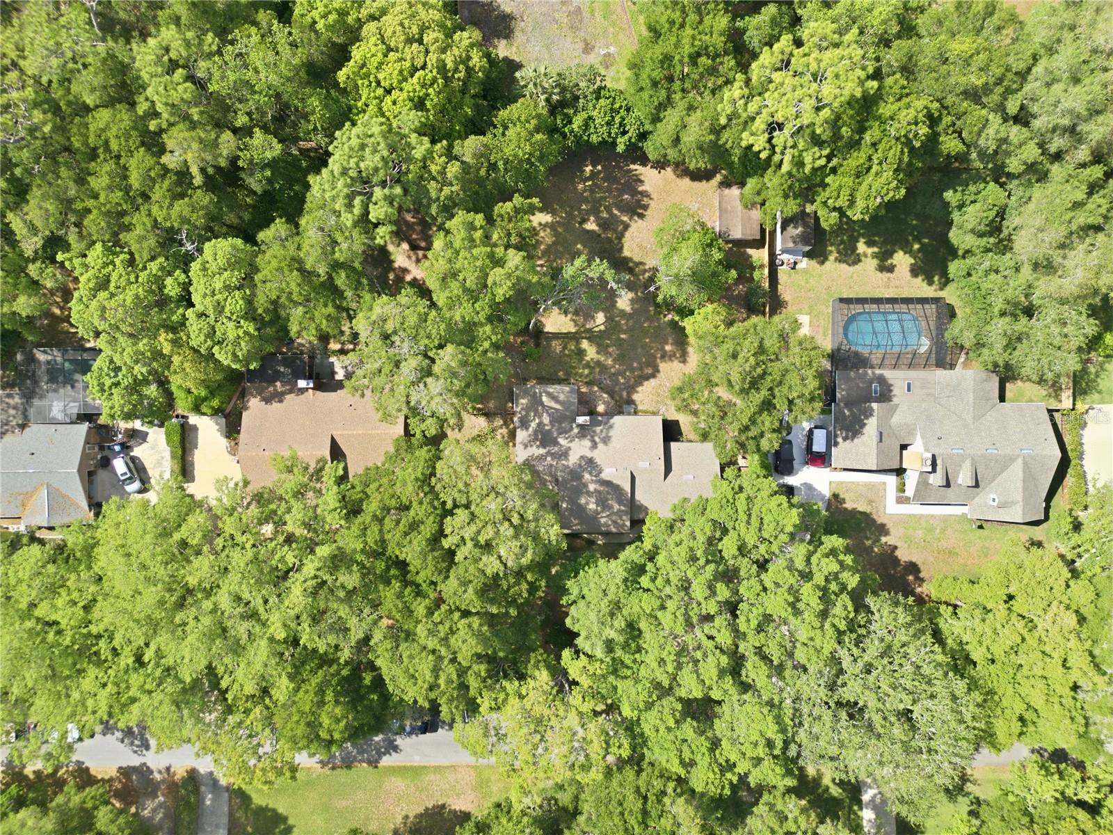 Image 35 of 35 For 544 Black Ironwood Drive