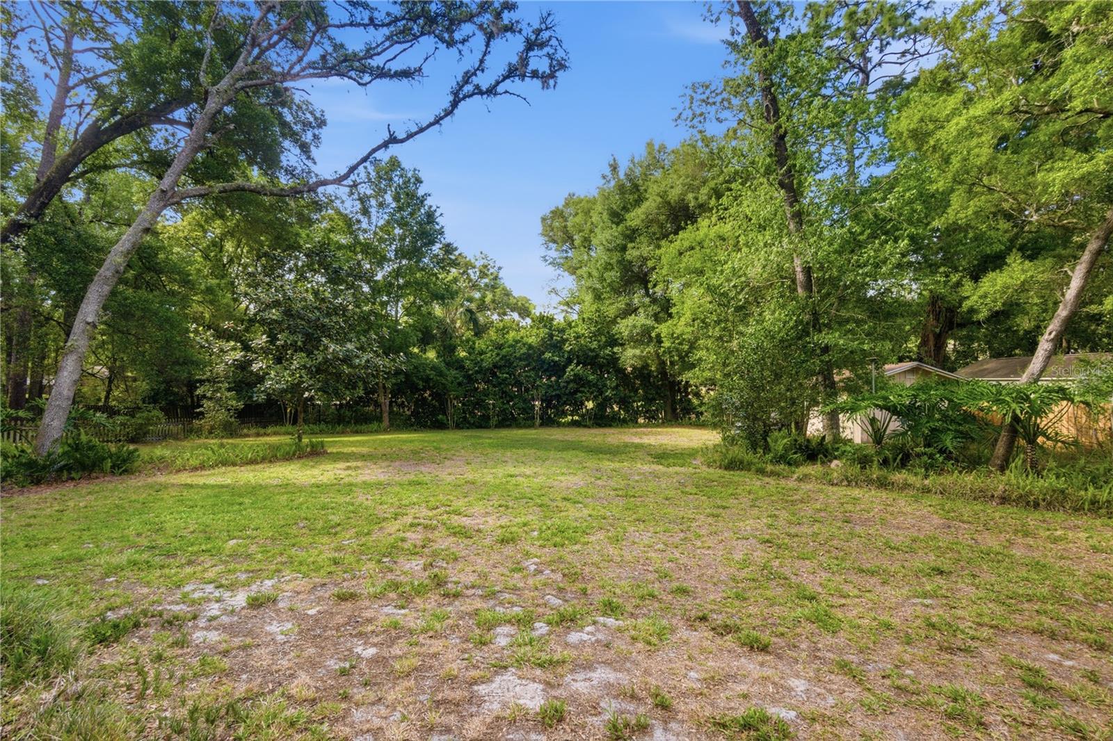 Image 9 of 35 For 544 Black Ironwood Drive