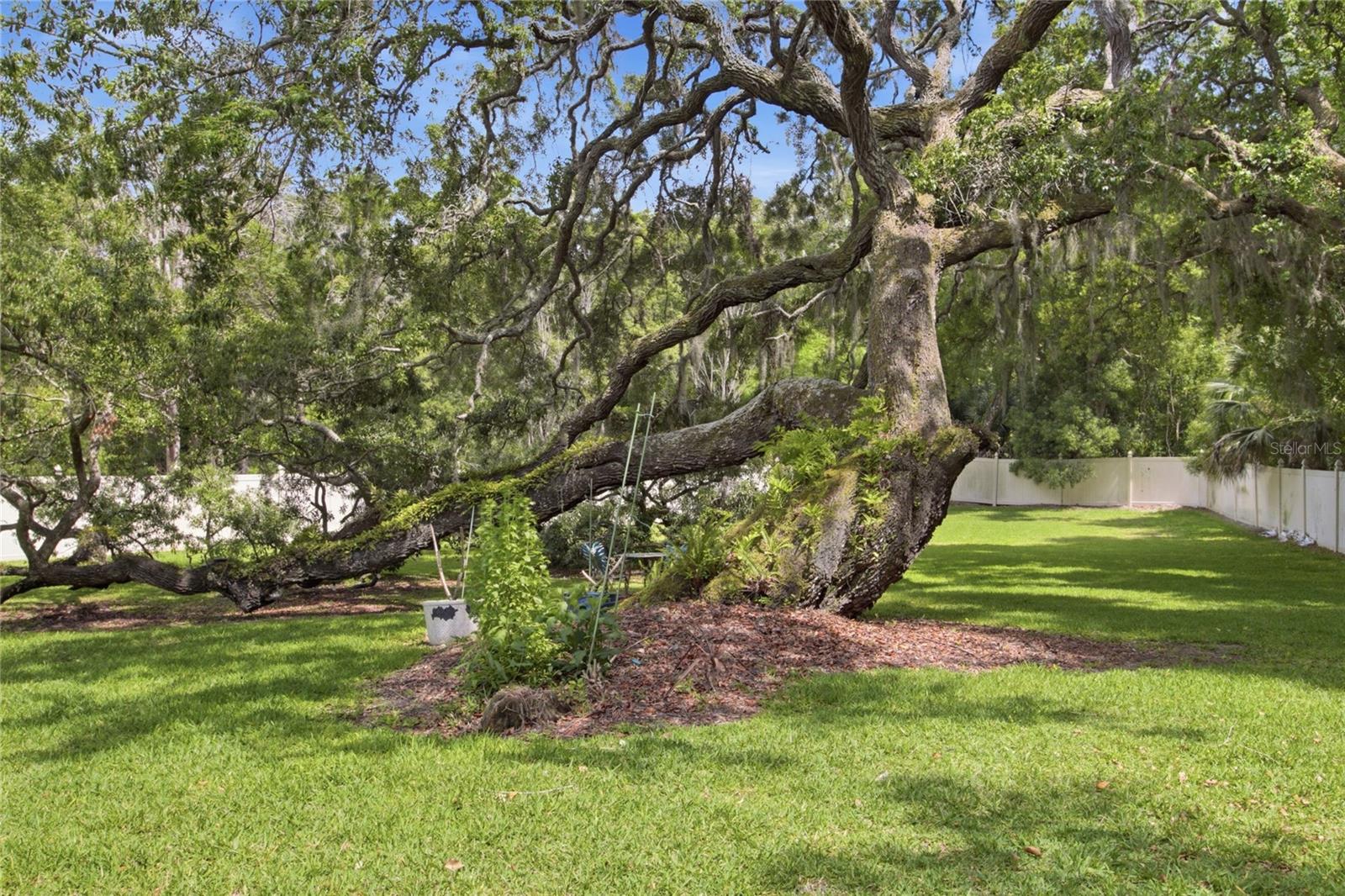 Listing photo id 47 for 128 Greentree Lane