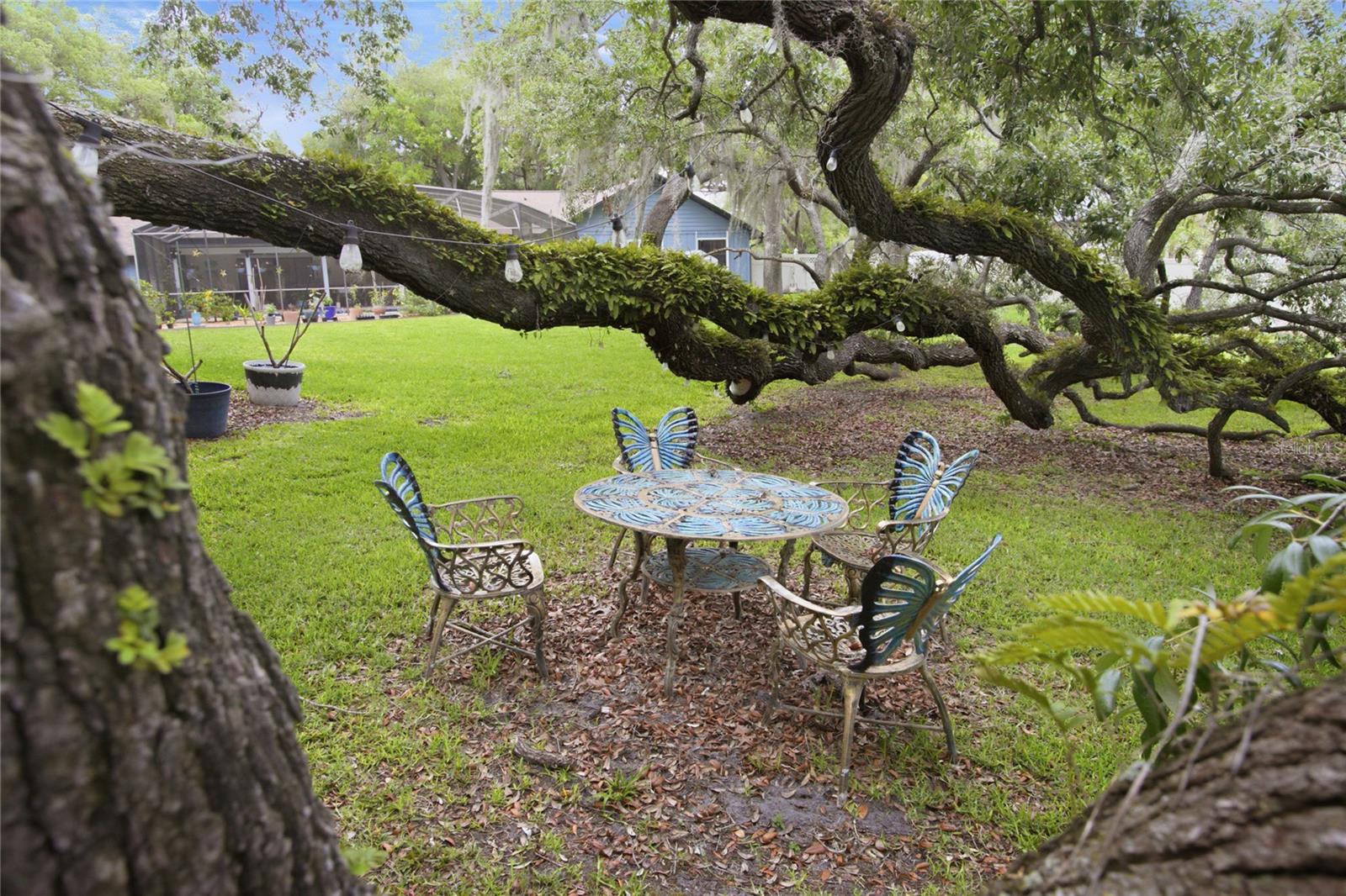 Listing photo id 51 for 128 Greentree Lane