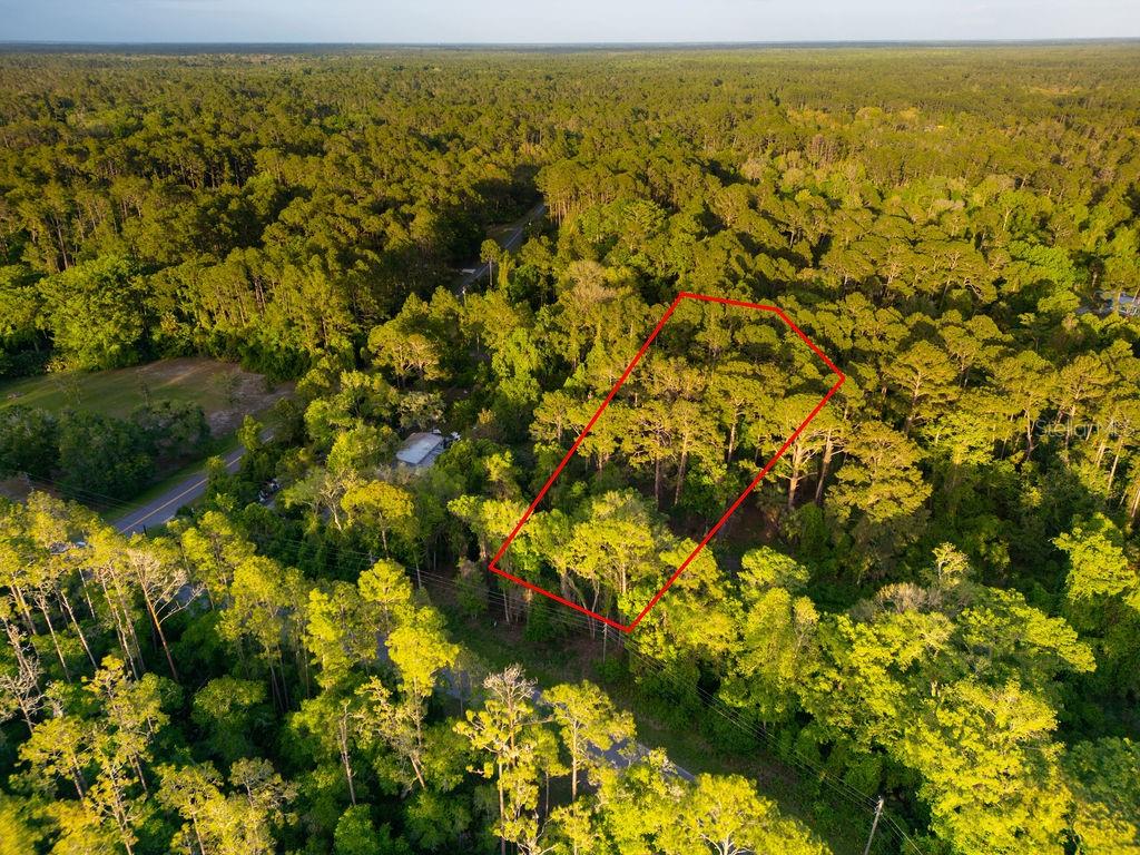 Image 10 of 13 For 172 Whispering Pines Road