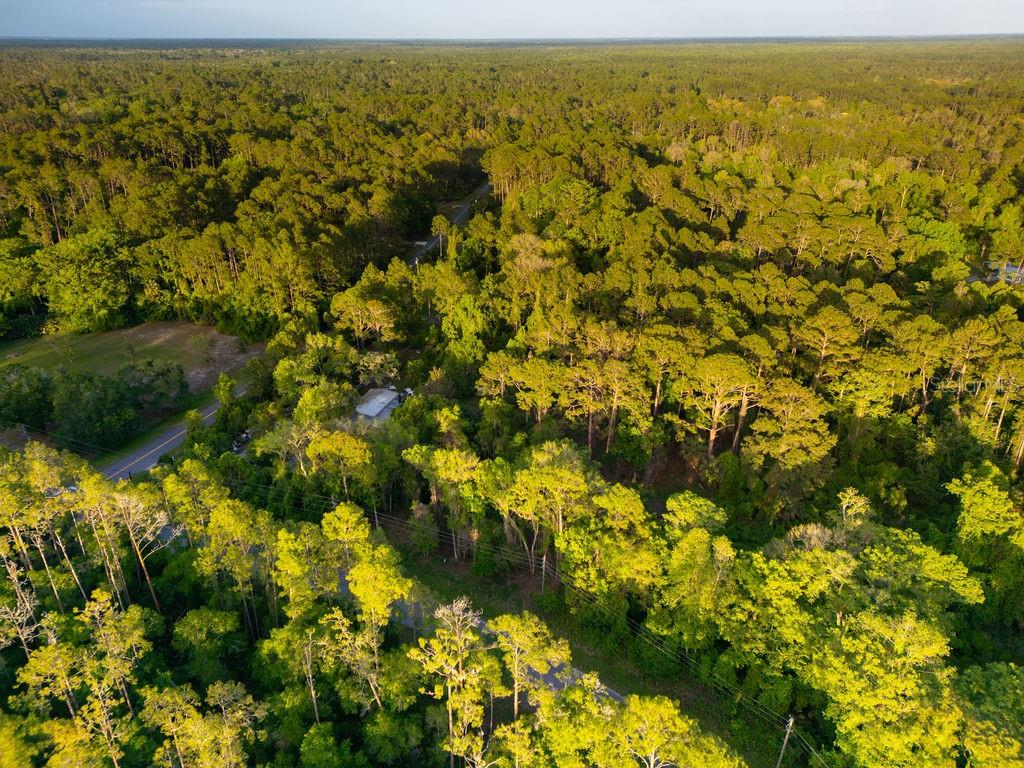 Image 11 of 13 For 172 Whispering Pines Road