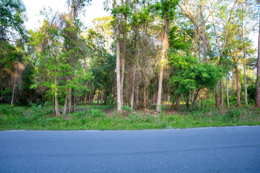 Image 3 of 13 For 172 Whispering Pines Road
